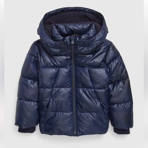 Gap Boys Puffer Coat
